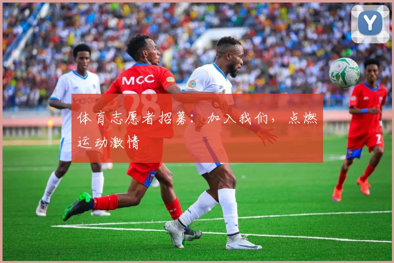 体育志愿者招募:加入我们,点燃运动激情