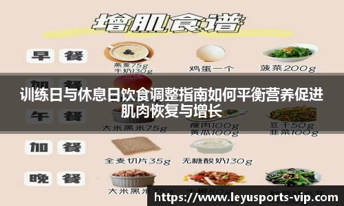 乐鱼体育官方网站