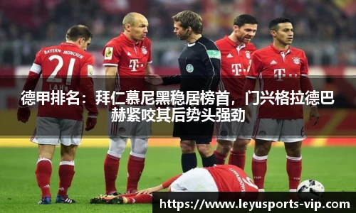 乐鱼体育官网